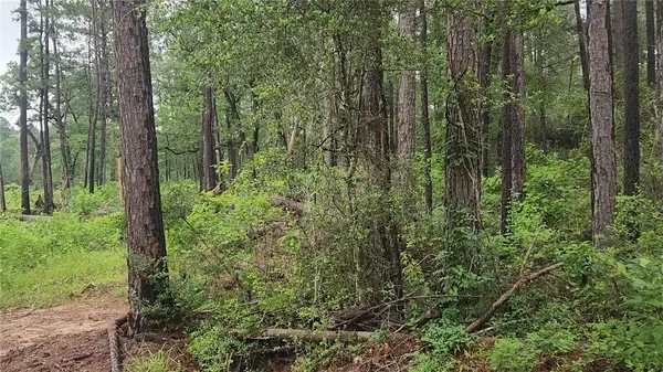 Lot 33 Gum Tree Lane, Plantersville, TX 77363