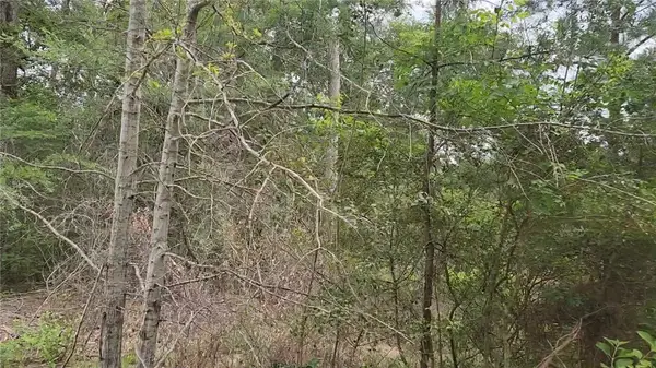 Lot 10 Sweetleaf Lane, Plantersville, TX 77363