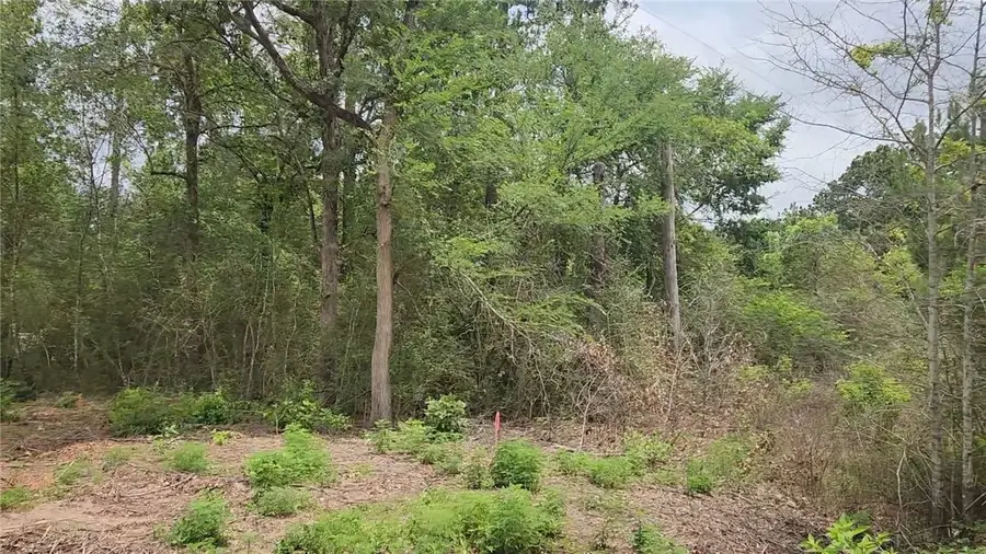 Lot 10 Sweetleaf Lane, Plantersville, TX 77363 - #2