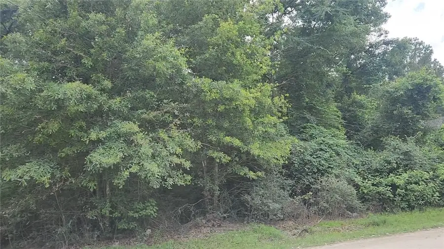 Lot 5 Tawnyberry Lane, Plantersville, TX 77363 - #2