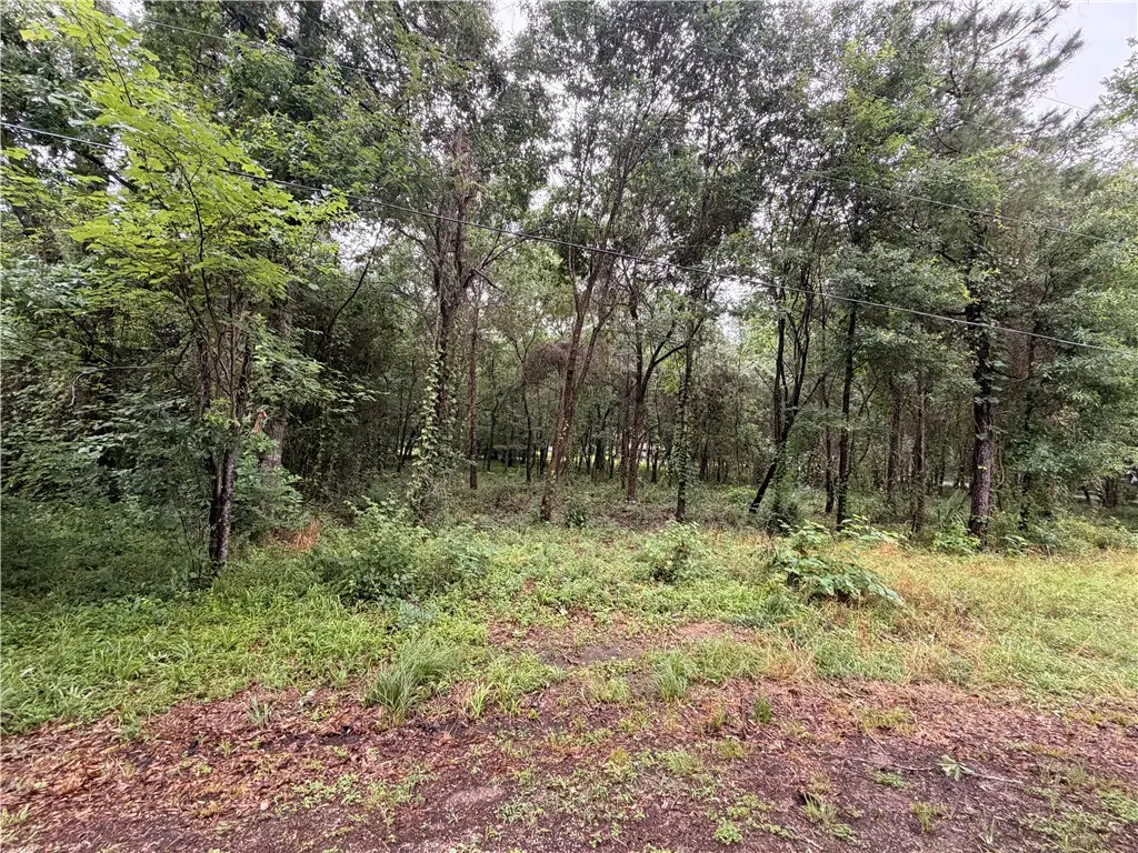 5265 Pecan Tree Lane, Montgomery, TX 77316 - #1