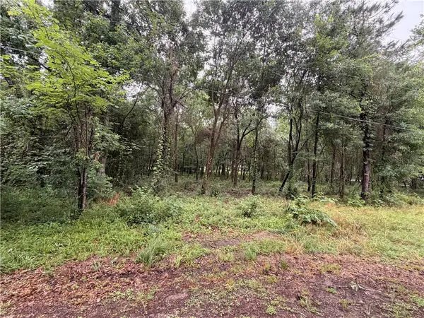 5265 Pecan Tree Lane, Montgomery, TX 77316