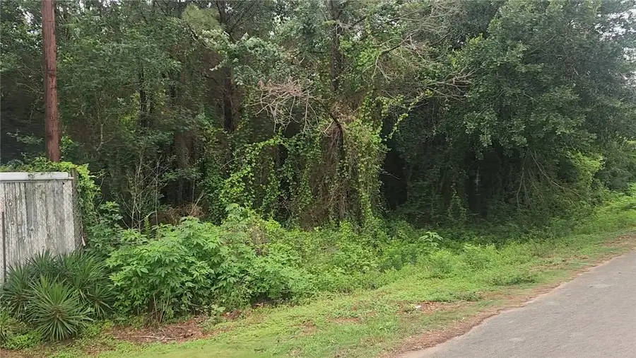 Lot 61 Greenfield Rd., Hempstead, TX 77445 - #3
