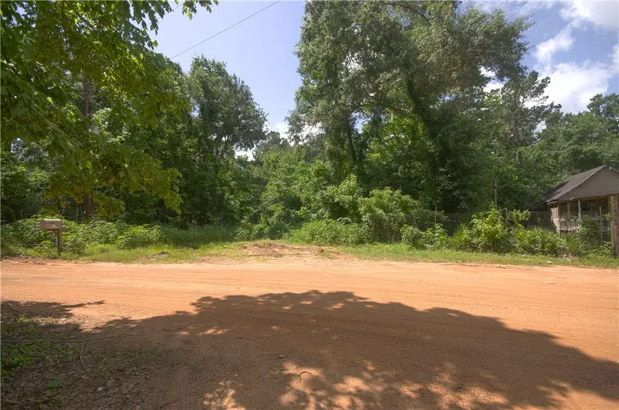 TBD Mill Creek Drive N, Plantersville, TX 77363 - #2