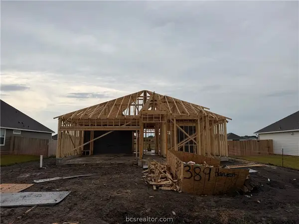 389 Harvest Lake Drive, Snook, TX 77878