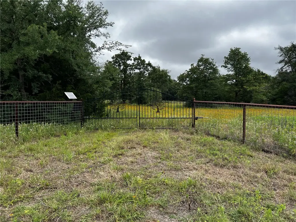 13155 S Dowling Road, College Station, TX 77845 - #1