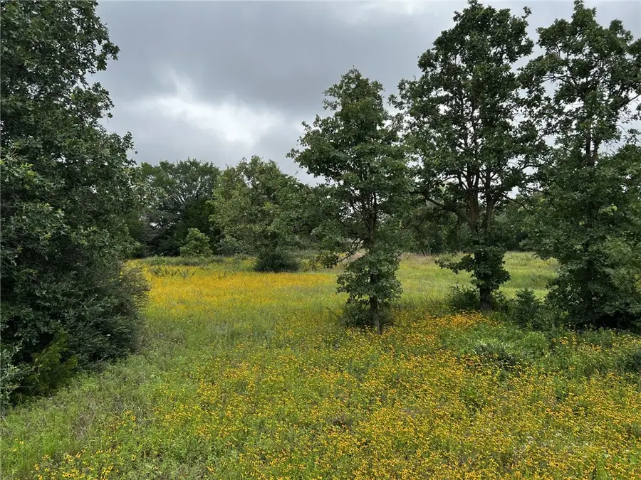 13155 S Dowling Road, College Station, TX 77845 - #3
