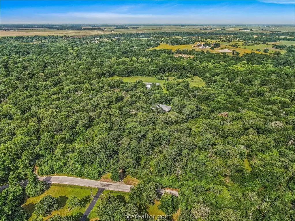 10250 Dogwood Trail, College Station, TX 77845 - #1