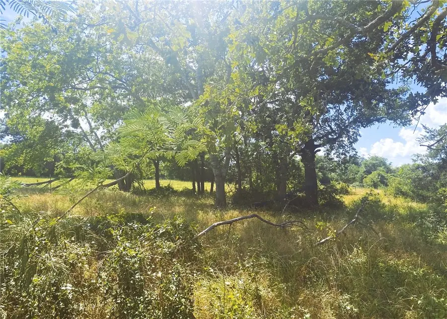 10830 Whiterock Road, Bremond, TX 76629 - #3