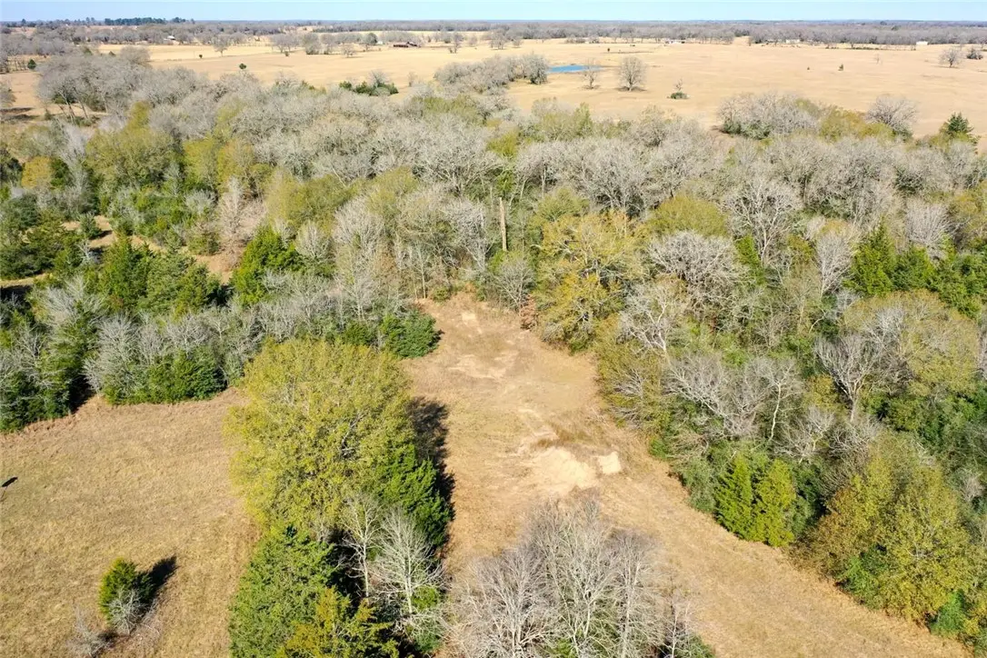 5 acres Manning Lane, Madisonville, TX 77864 - #1