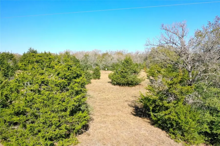 5 acres Manning Lane, Madisonville, TX 77864 - #2