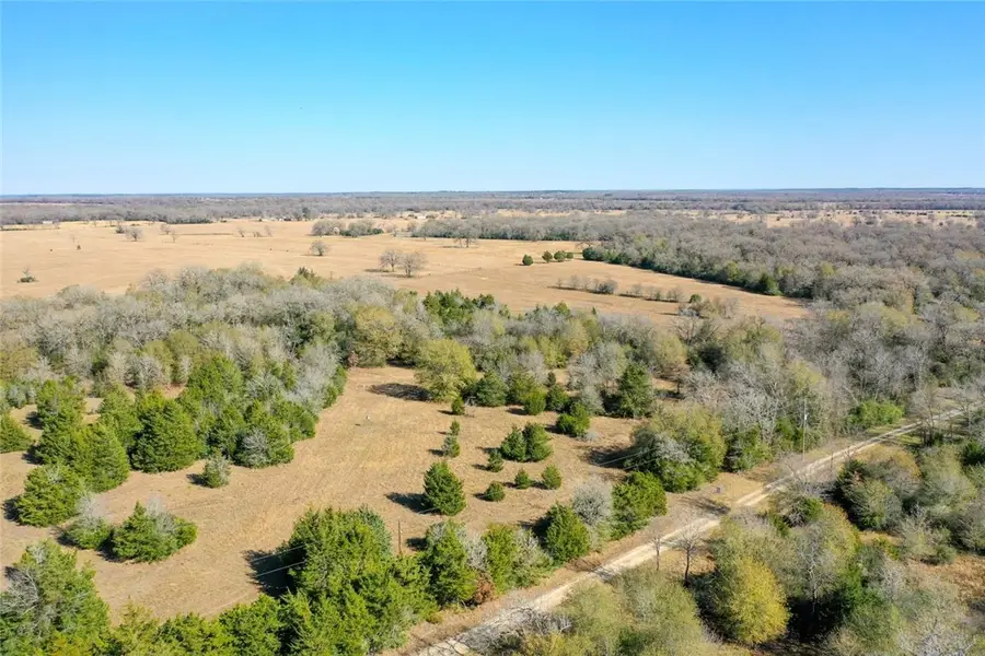 5 acres Manning Lane, Madisonville, TX 77864 - #3