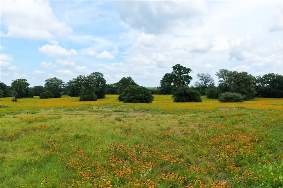 0000 County Road 119, Caldwell, TX 77836 - #3