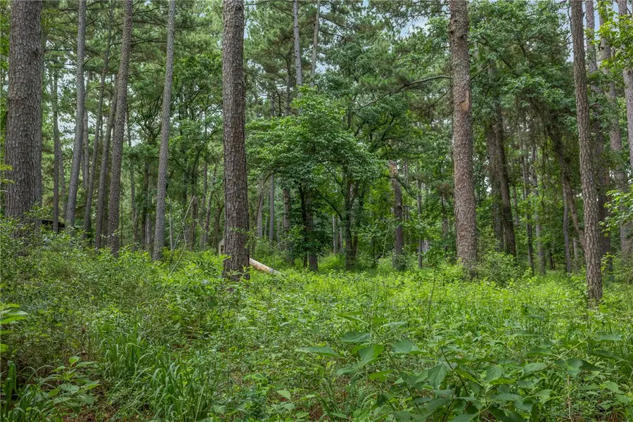 5772 Pr 2065, Centerville, TX 75833 - #2