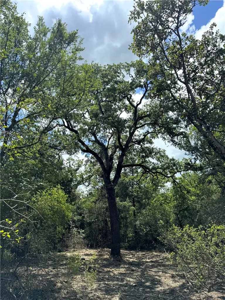 TBD Pin Oak Road, Franklin, TX 77856 - #2