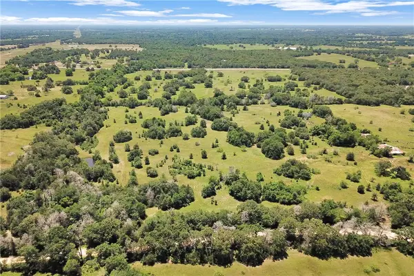 7629 Oxford Cemetery Rd, Madisonville, TX 77864