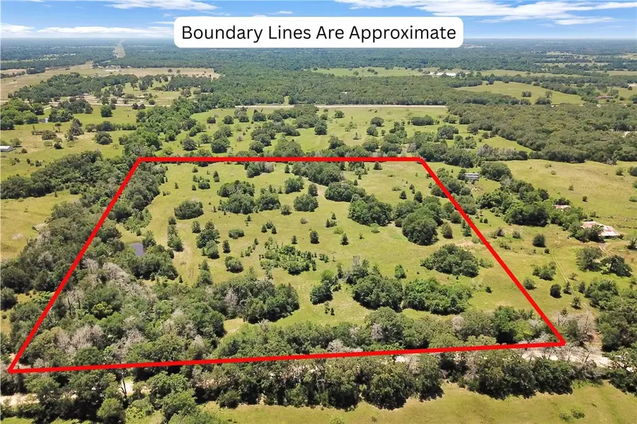 7629 Oxford Cemetery Rd, Madisonville, TX 77864 - #2
