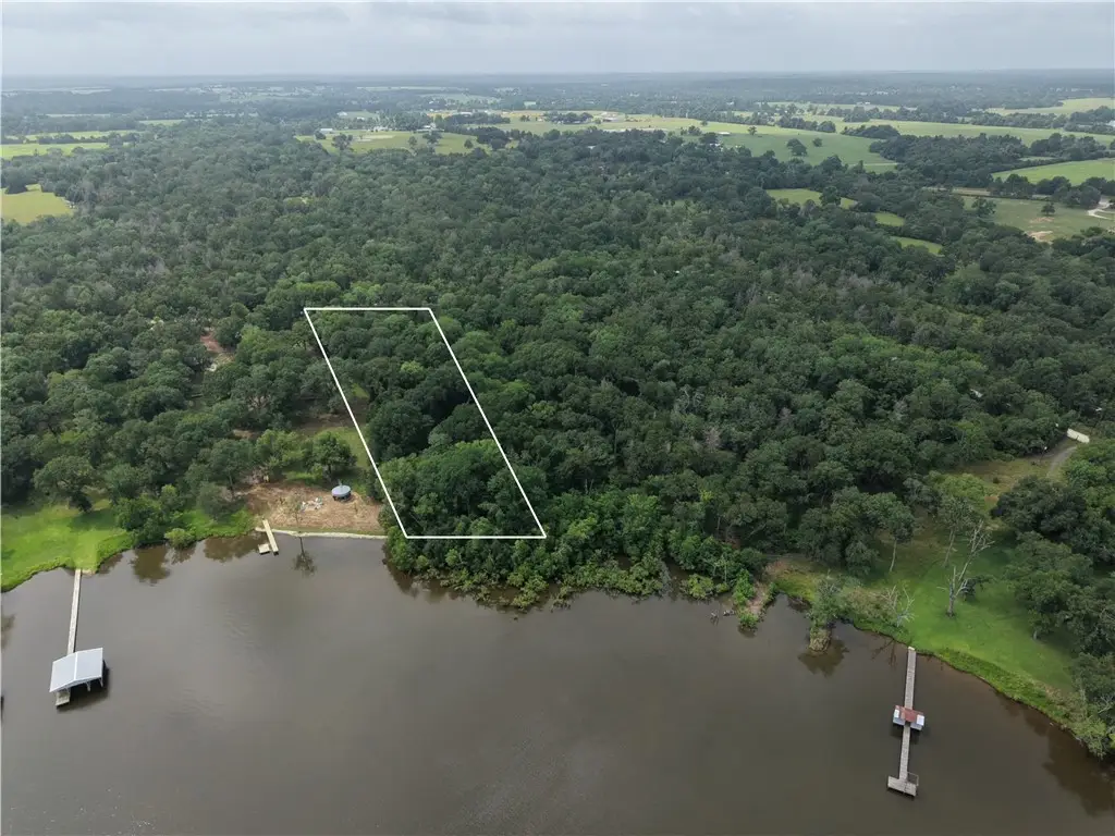 9141 Clyde Acord Road #Lot 436, Franklin, TX 77856 - #1