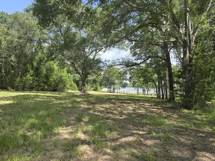 9141 Clyde Acord Road #Lot 436, Franklin, TX 77856 - #2