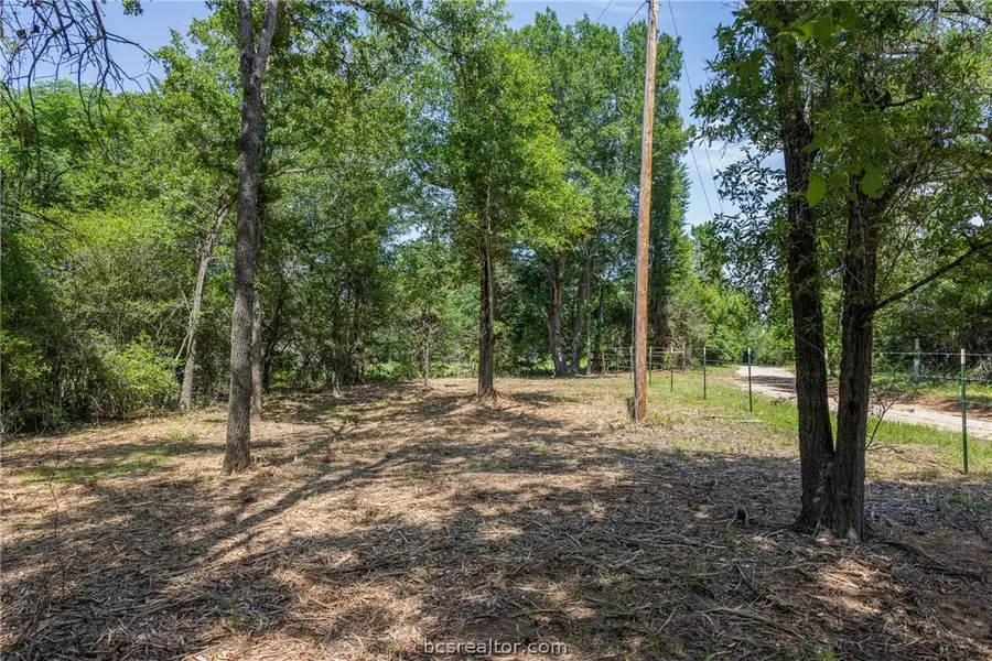TBD Weber Road, Bryan, TX 77808 - #3