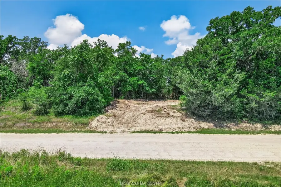 12907 County Road 164, Iola, TX 77861 - #3