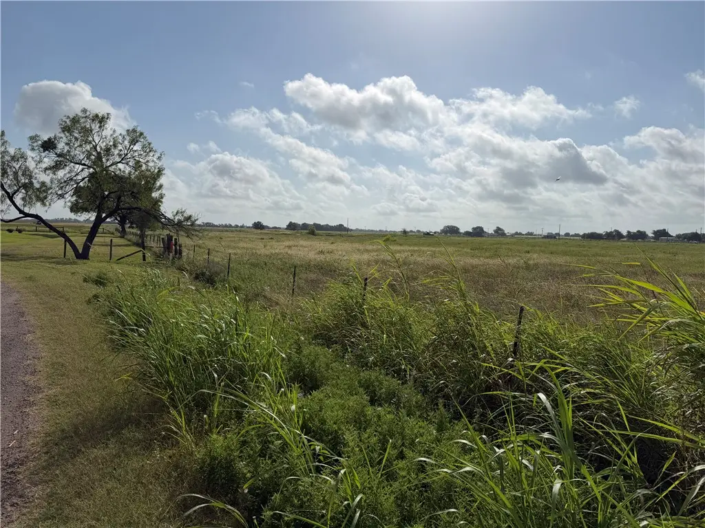 000 TBD County Road 273, Snook, TX 77878 - #1