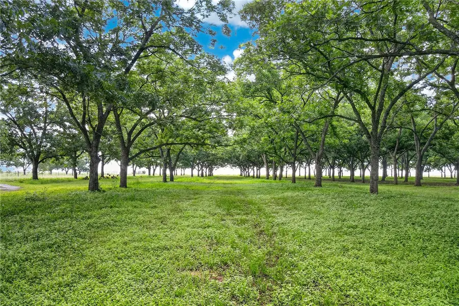 14575 County Road 227, Caldwell, TX 77836 - #2
