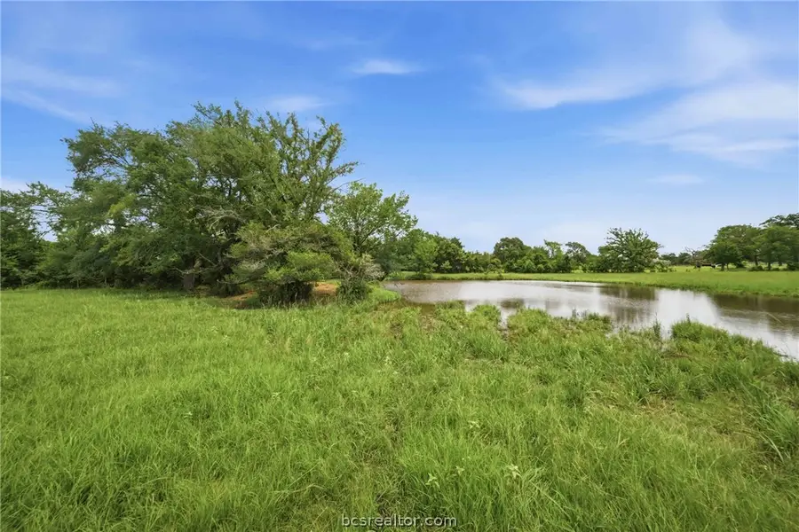 Tract 1 Holly Cemetery Road, Franklin, TX 77856 - #3