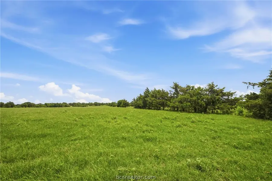 Tract 2 Holly Cemetery Road, Franklin, TX 77856 - #2