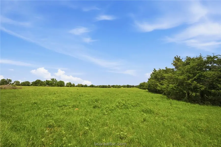 Tract 2 Holly Cemetery Road, Franklin, TX 77856 - #3
