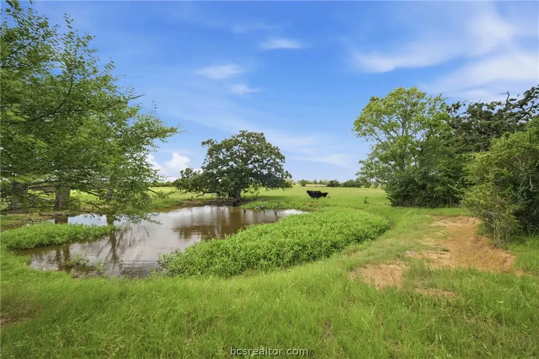 Tract 6 Holly Cemetery Road, Franklin, TX 77856 - #1