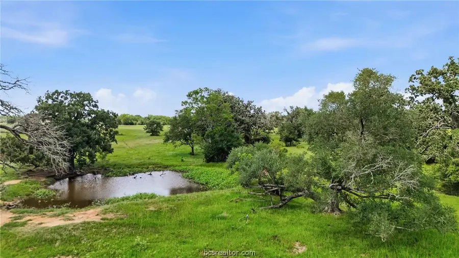 Tract 6 Holly Cemetery Road, Franklin, TX 77856 - #3