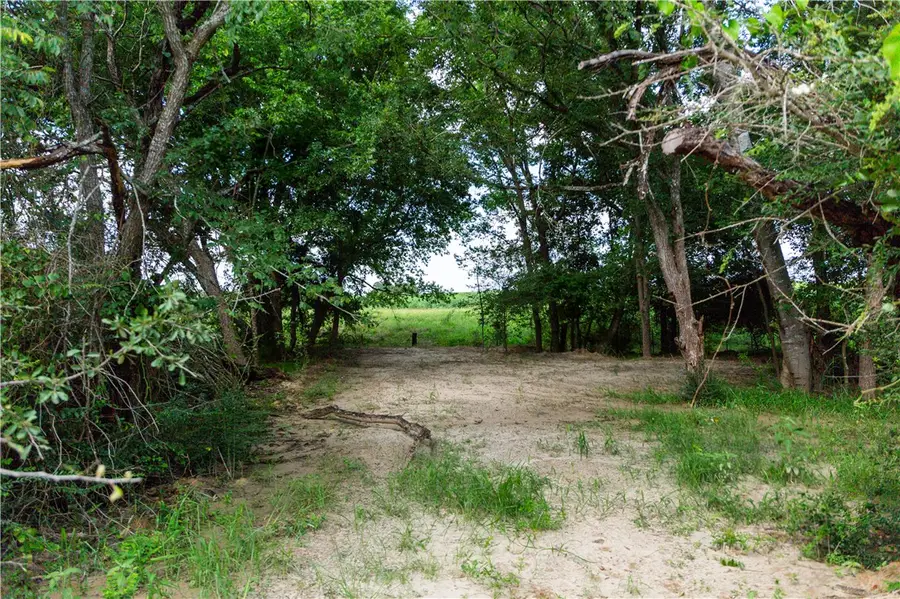 5037 Paulo Court, Bryan, TX 77808 - #3