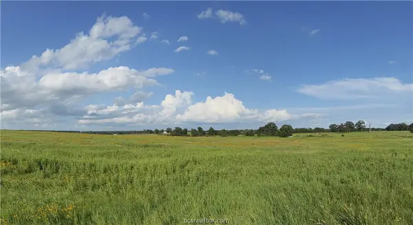 13589 S Cr 476 Reagan Loop Countyroad S, Franklin, TX 77856