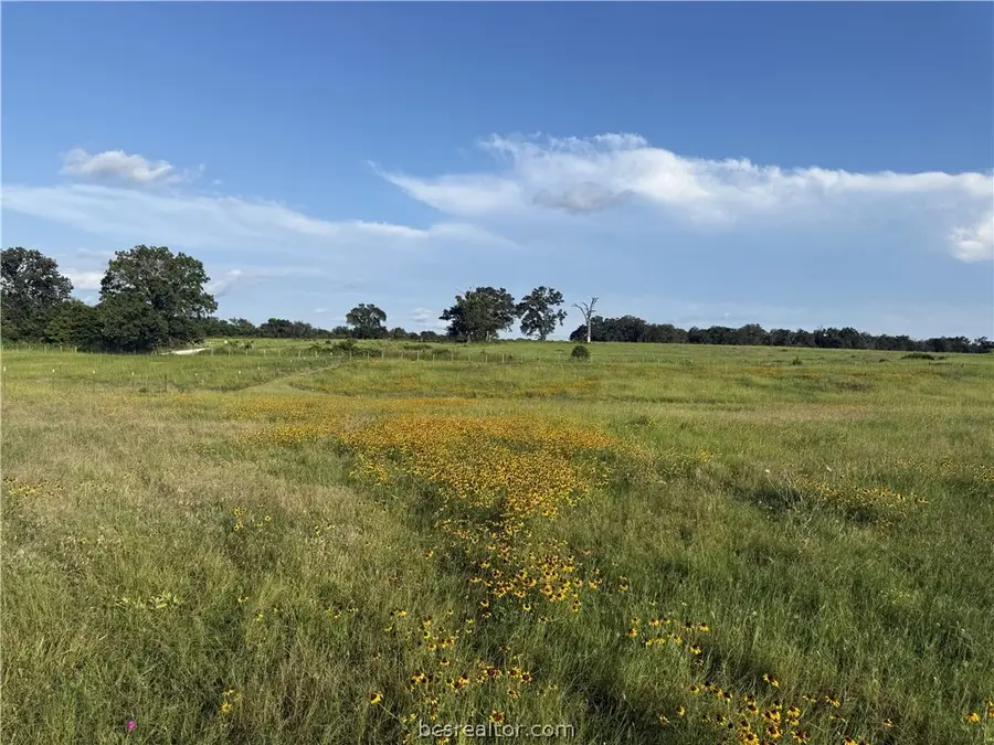 13589 S Cr 476 Reagan Loop Countyroad S, Franklin, TX 77856 - #2