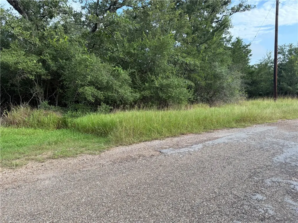 505 Deer Run Trail, Somerville, TX 77879 - #1