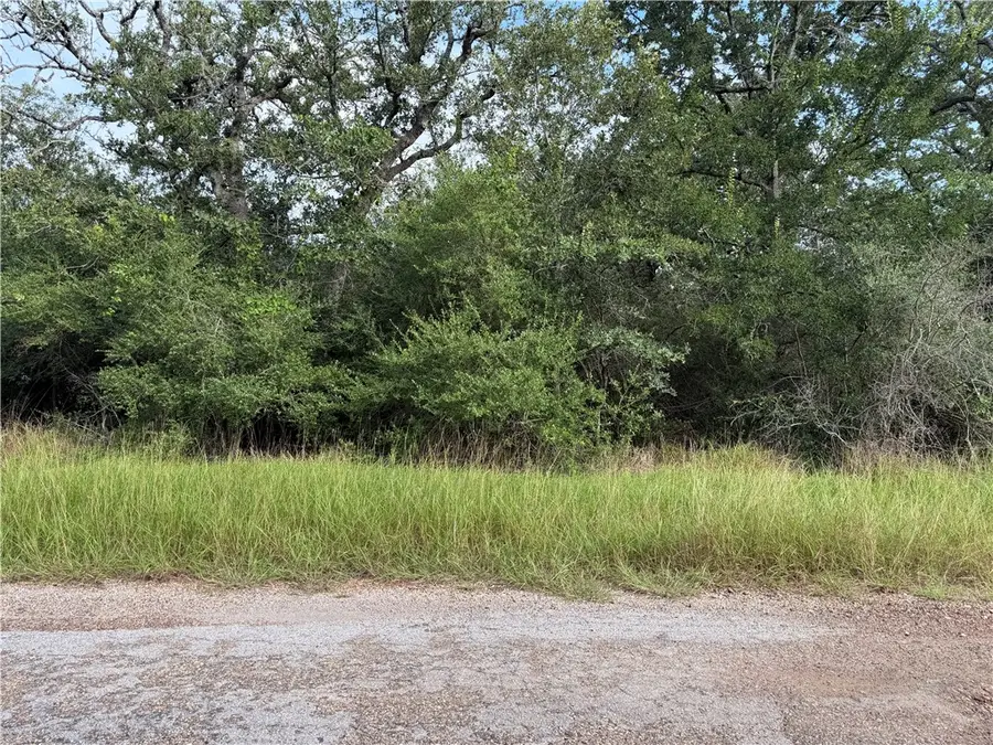 505 Deer Run Trail, Somerville, TX 77879 - #3