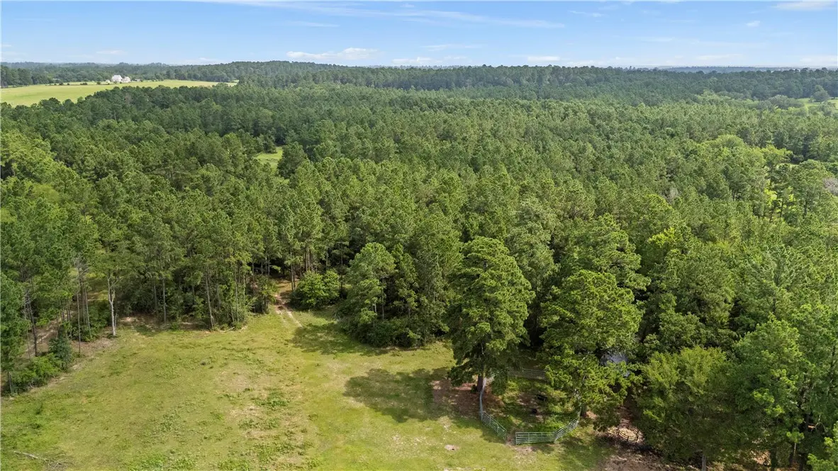 6779 County Road 215, Anderson, TX 77830 - #1