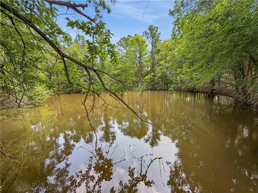 6779 County Road 215, Anderson, TX 77830 - #3