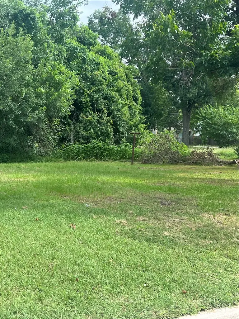 1115 Sycamore Street, Navasota, TX 77868 - #1