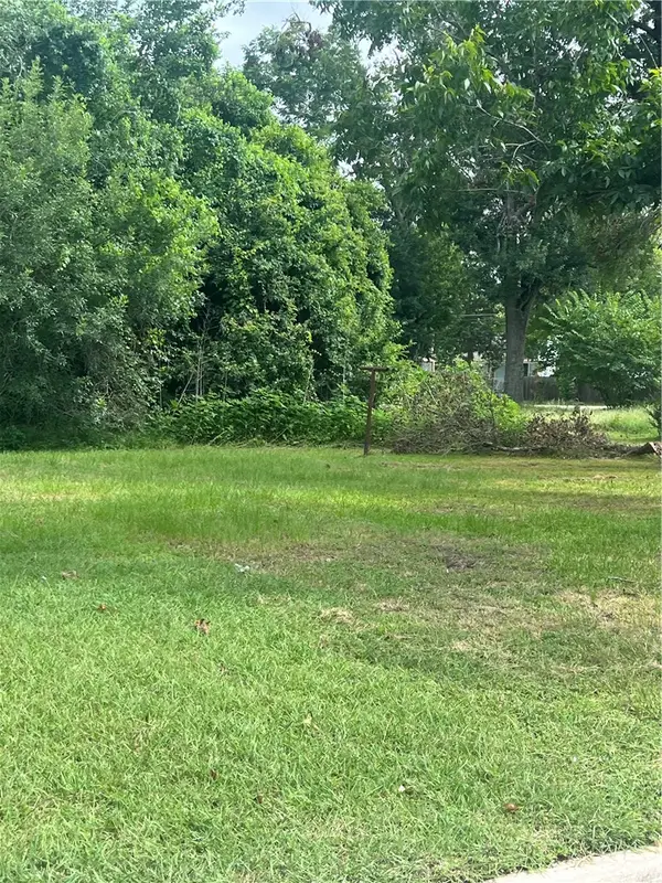 1115 Sycamore Street, Navasota, TX 77868