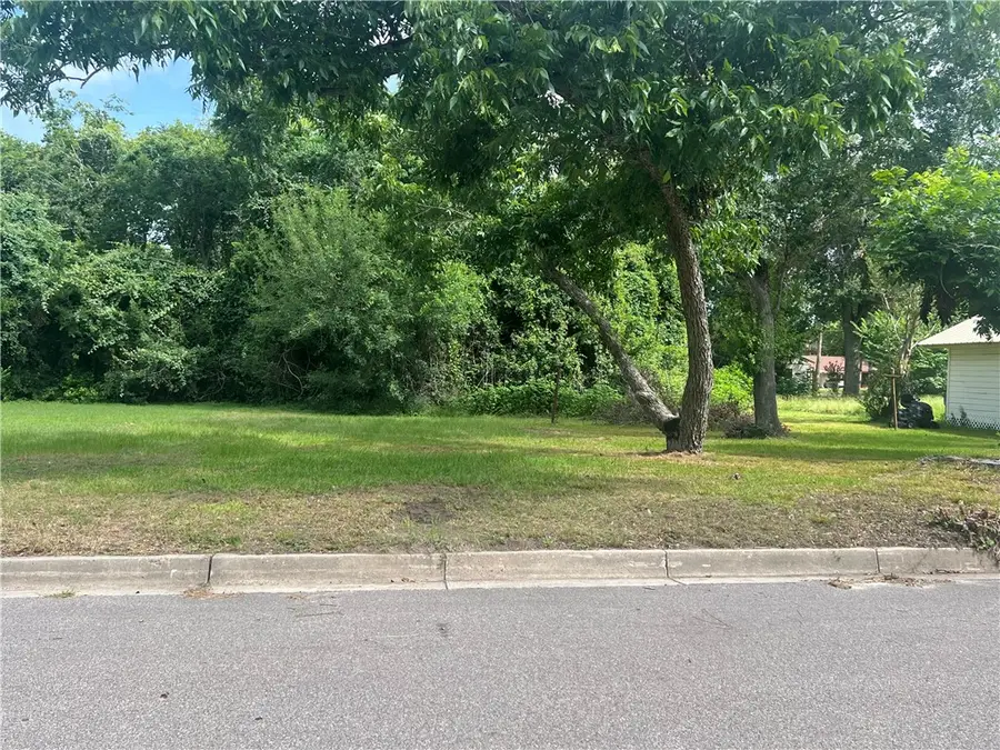 1115 Sycamore Street, Navasota, TX 77868 - #2