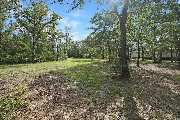 1045 Lakeview Drive, Somerville, TX 77879