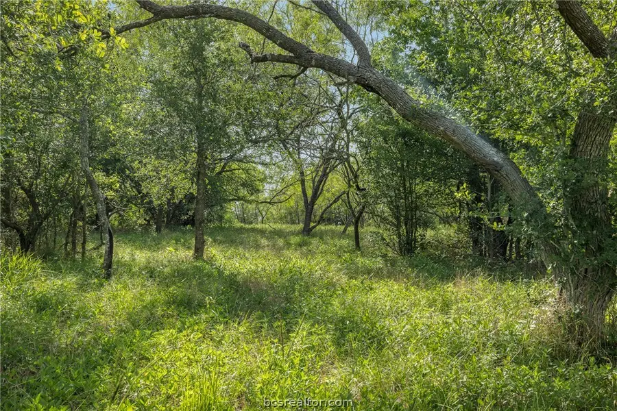 4024 Hollow Court, College Station, TX 77845 - #3
