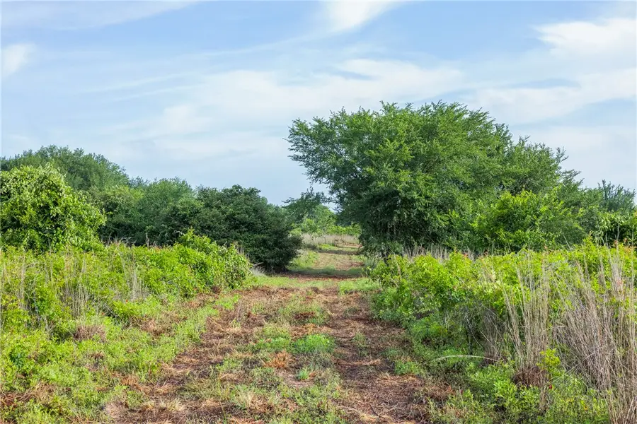 5241 County Road 358, Caldwell, TX 77836 - #3