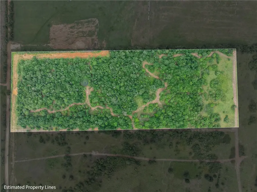 5163 County Road 358, Caldwell, TX 77836 - #2
