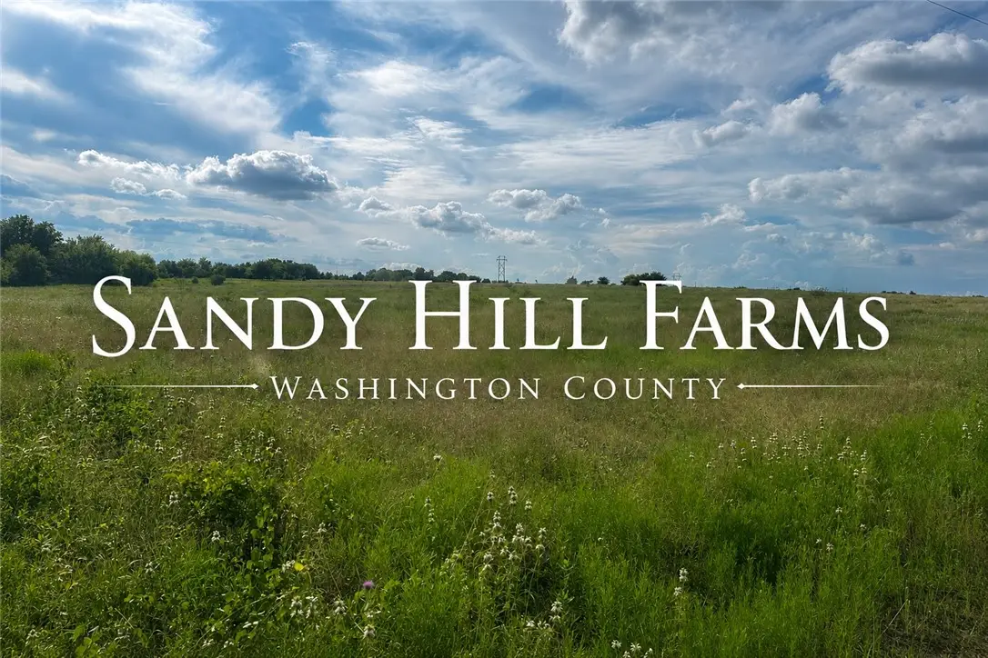 TBD Randermann Rd. Countyroad, Brenham, TX 77833 - #1