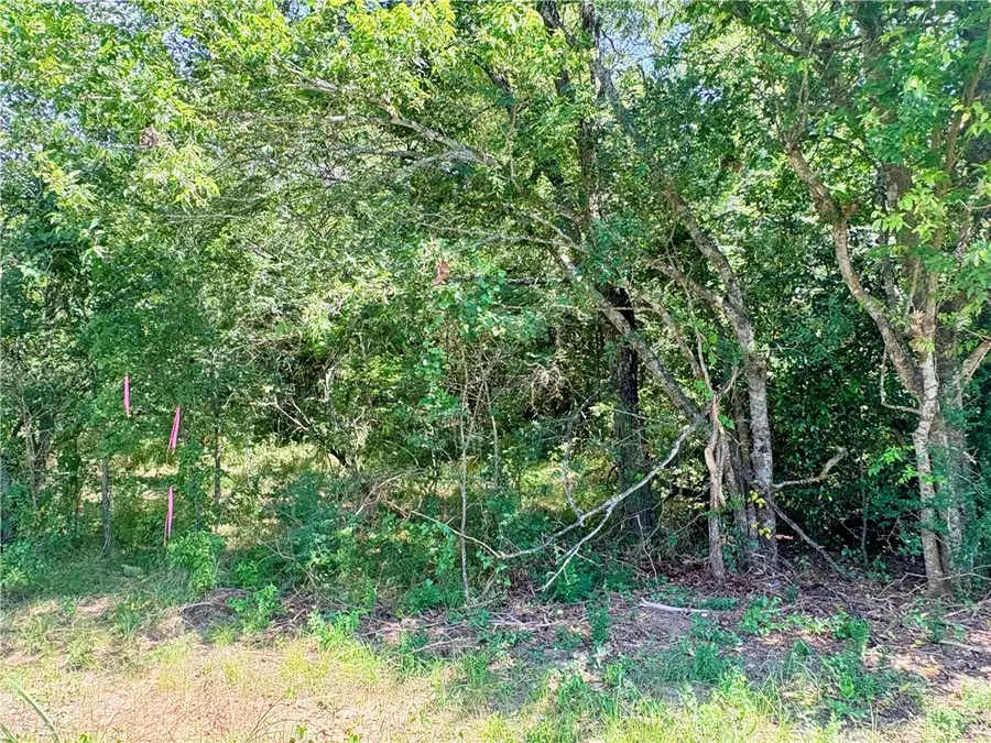 TBD Crennan Lane, Hearne, TX 77859 - #2