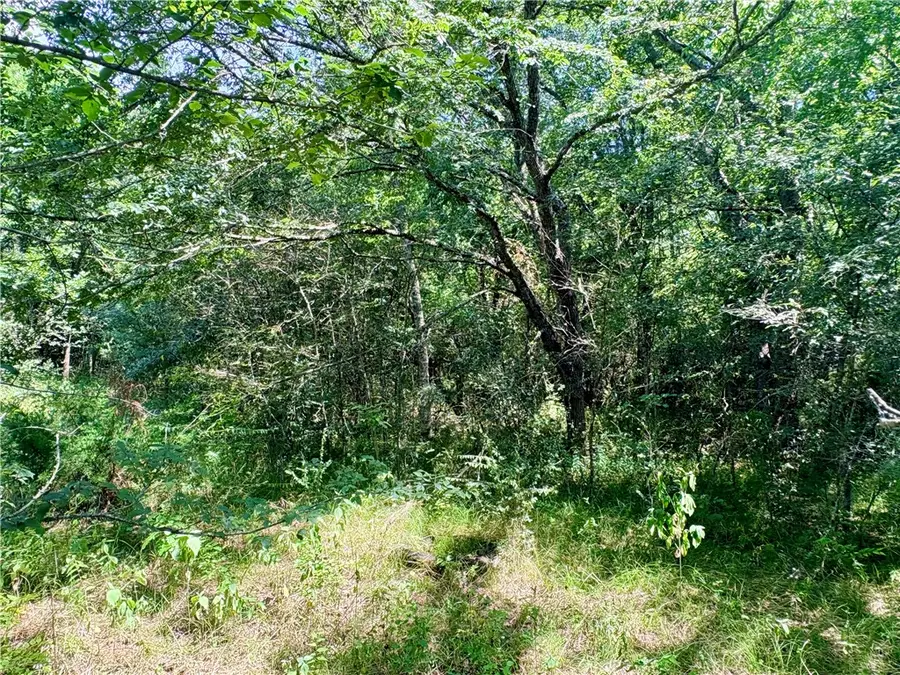 TBD Crennan Lane, Hearne, TX 77859 - #3