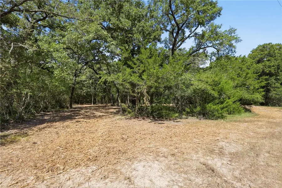 TBD Lot 2 Grassbur Road, Bryan, TX 77808 - #3